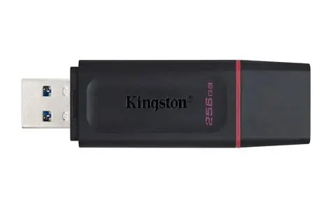 Pendrive Kingston 256GB